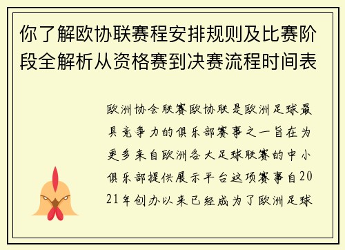 你了解欧协联赛程安排规则及比赛阶段全解析从资格赛到决赛流程时间表详解
